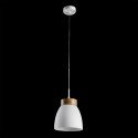 LUXERA FOCUS 18068 ZÁVĚSNÉ SVÍTIDLO