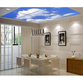 LED světelný panel 60x60 cm s dekorativním motivem - břízy