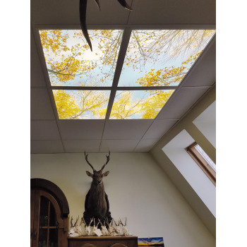 LED světelný panel 120x60 cm s dekorativním motivem - stromy