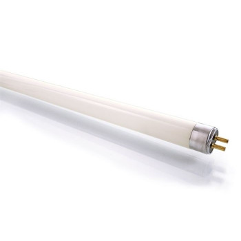 Zářivka TL5 14W 840 549 mm - LIGHT IMPRESSIONS