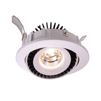 Downlight Shop I výklopný LED 15W 4000K 500mA bílá - LIGHT IMPRESSIONS