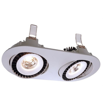 Downlight Shop II výklopný LED 2x15W 4000K 500mA stříbrná - LIGHT IMPRESSIONS