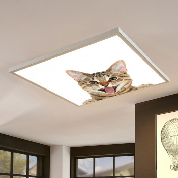 LED panel dekorativní - motiv kočka