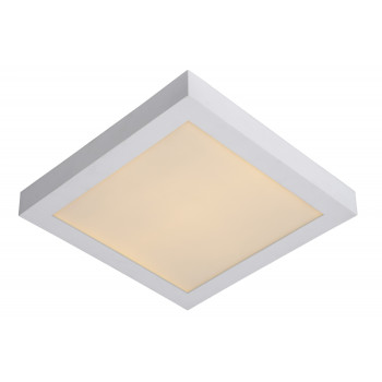 Lucide 28117/30/31 BRICE-LED svítidlo stropní Dim 30W IP44