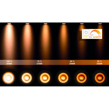 TALA LED Spot 2x GU10/12W DTW černá