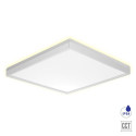 CORDIA LED/24W,3000K-6000K,IP54,WHITE SQ