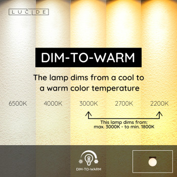 Lucide TASSA - koupelnové stropní svítidlo - Ø 13,5 cm - LED stmívatelné - 1x12W 1800K/3000K - IP40 - černé, LUCIDE, TRENDY svítidla